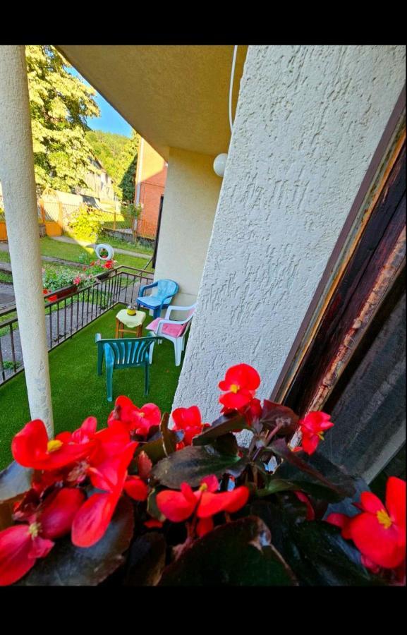 Apartamento Petra Kolašin Exterior foto